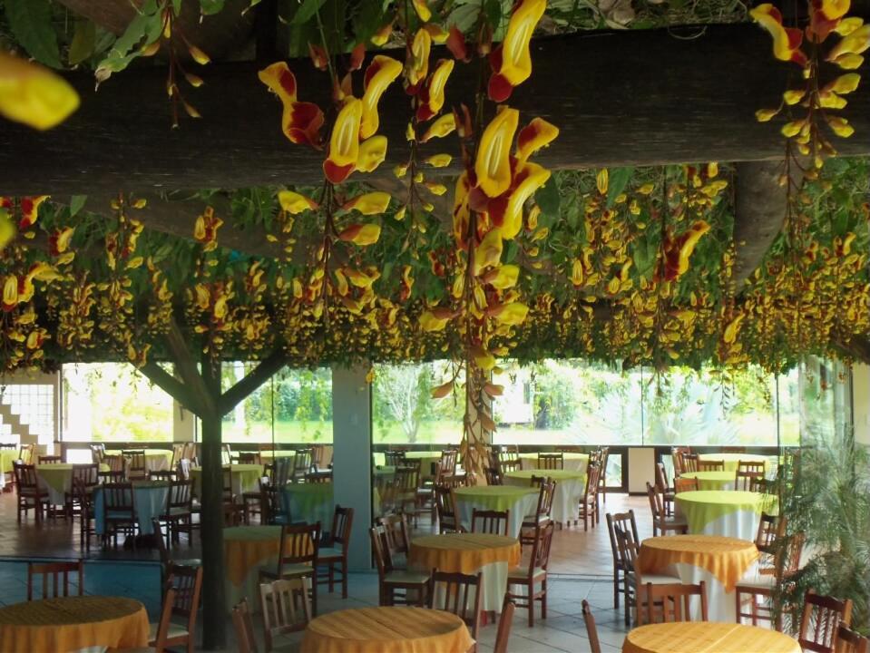 Tureck Garten Hotel Corupa