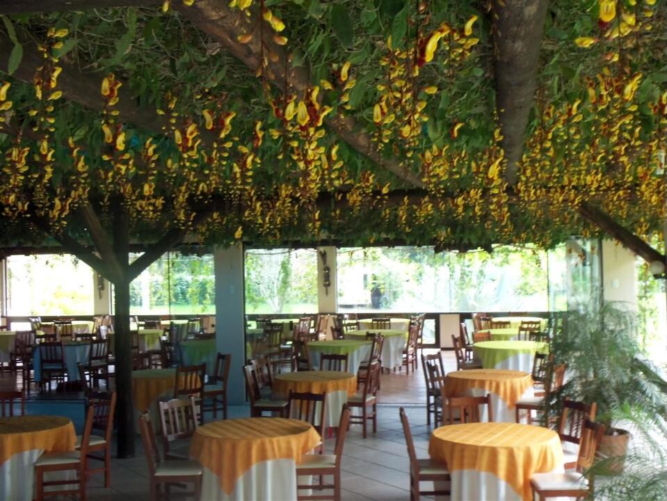 Tureck Garten *