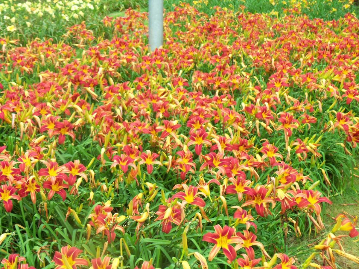 Tureck Garten *